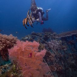 Mimpi Indah Bangka, House Reef