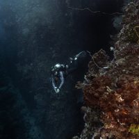 Laura diving-1