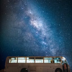 night bus-1-3